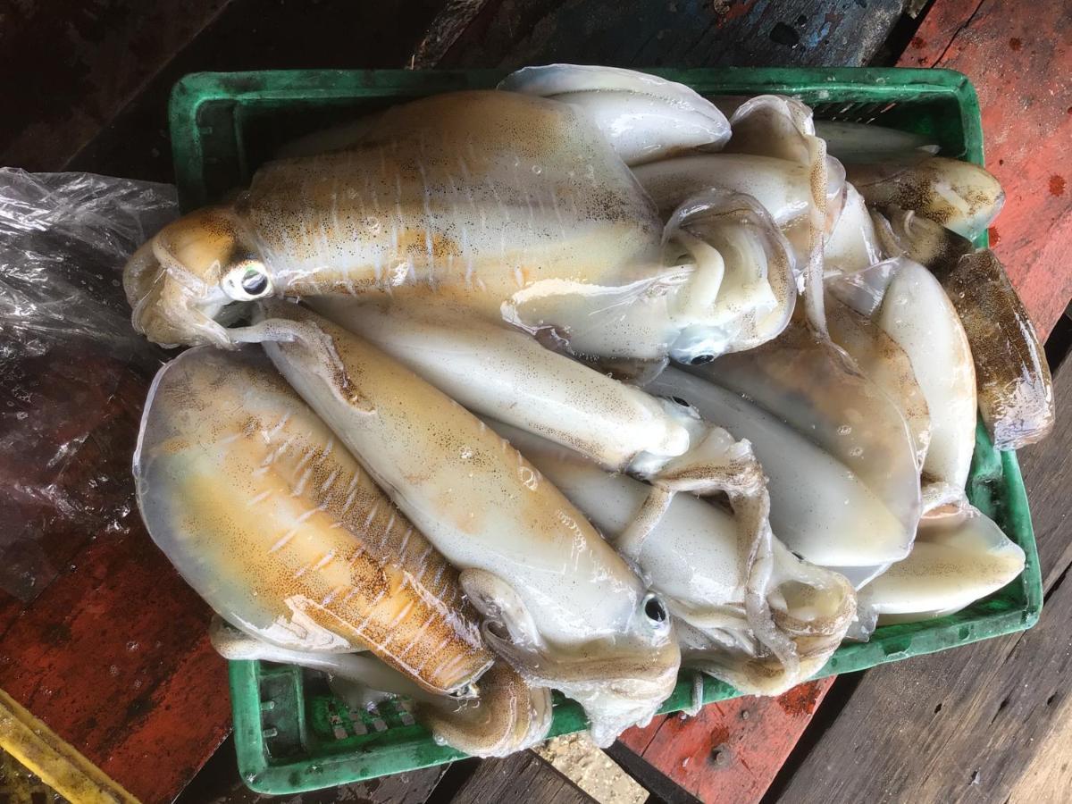 Homestay&Chaoleyseafoodrestaurant Ko Pu Dış mekan fotoğraf